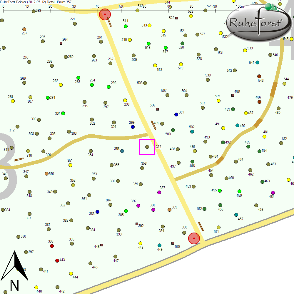 Detailkarte zu Baum 357