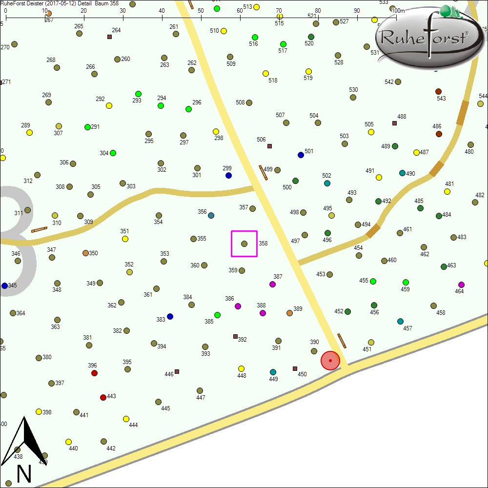 Detailkarte zu Baum 358