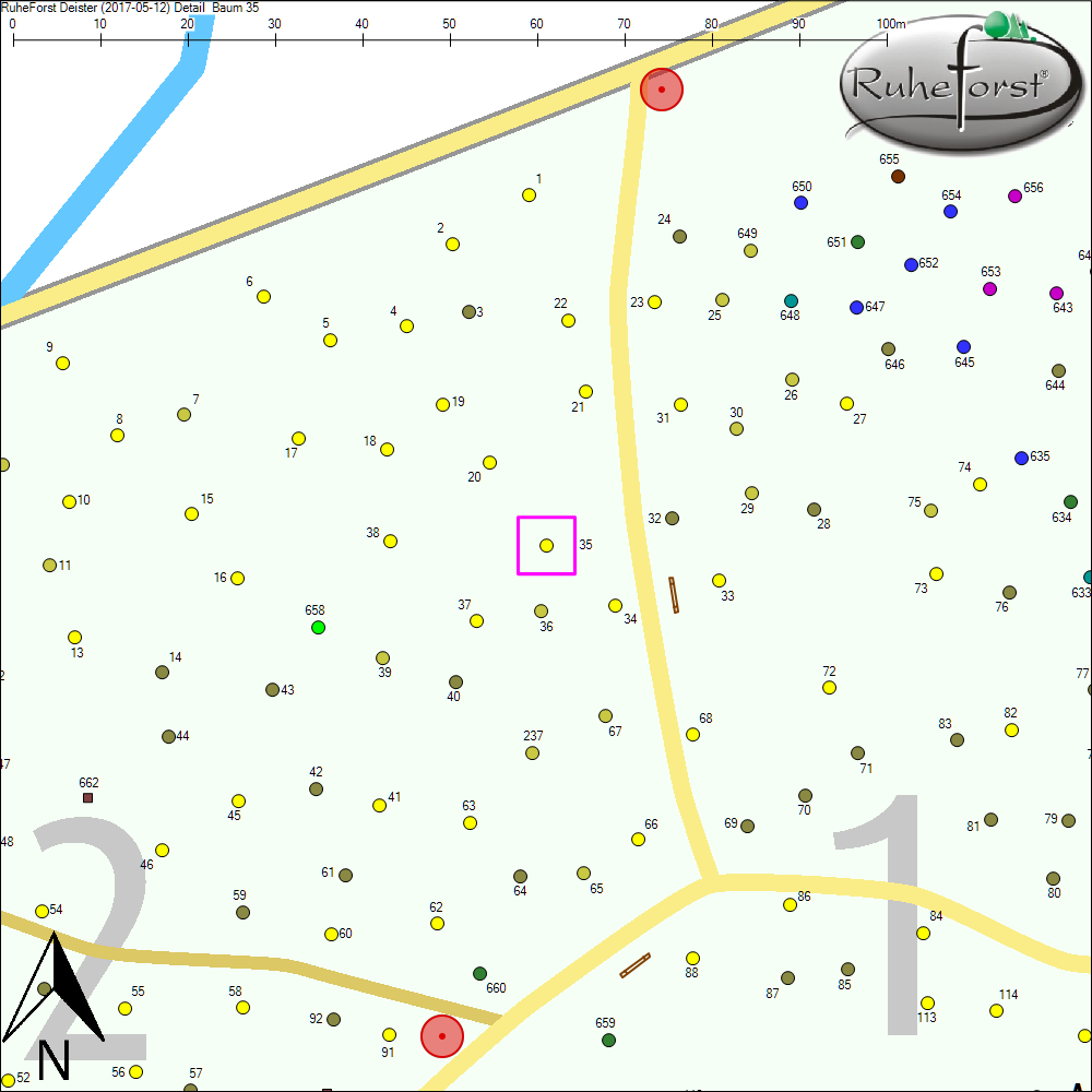 Detailkarte zu Baum 35