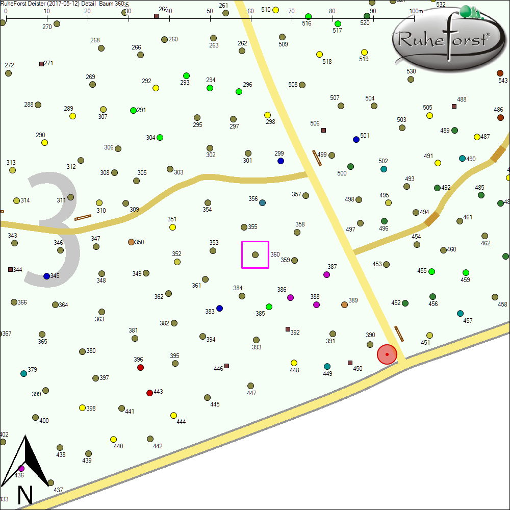Detailkarte zu Baum 360
