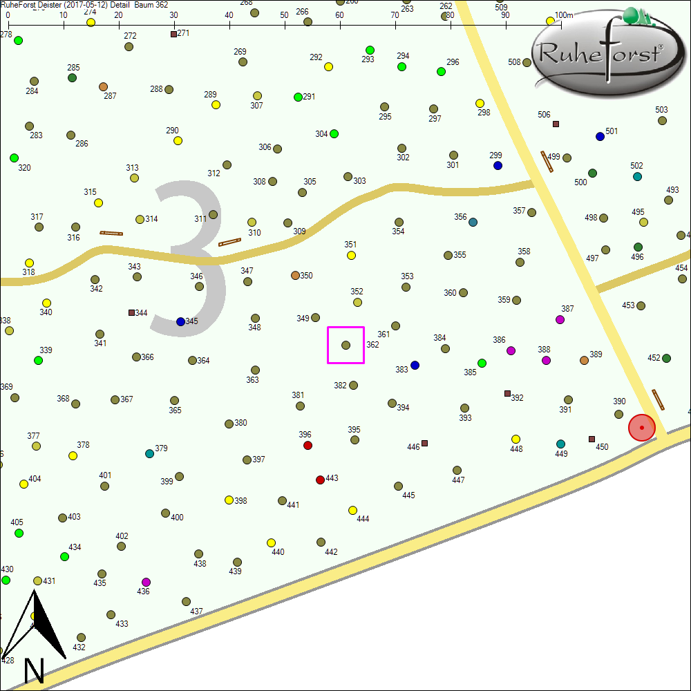 Detailkarte zu Baum 362