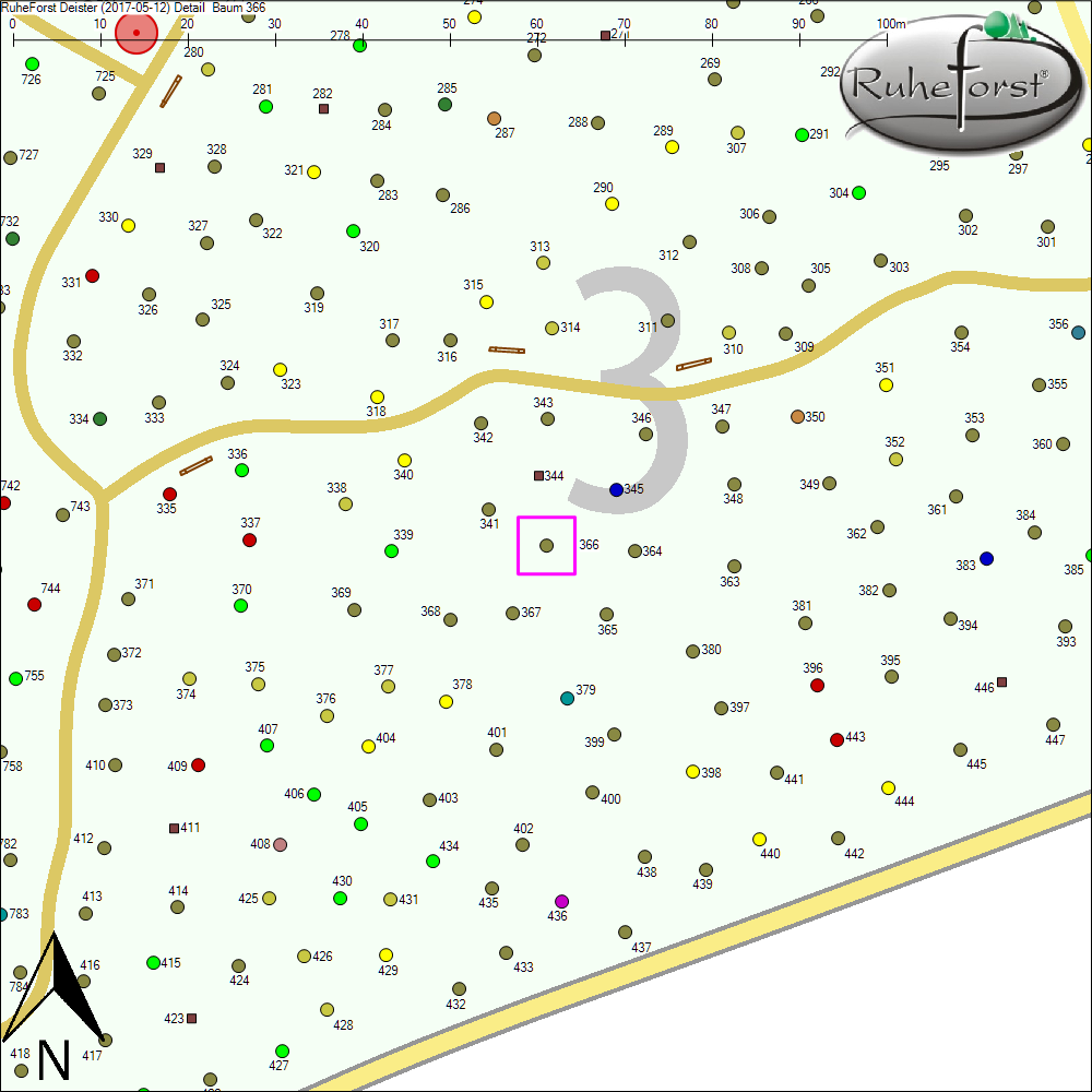 Detailkarte zu Baum 366