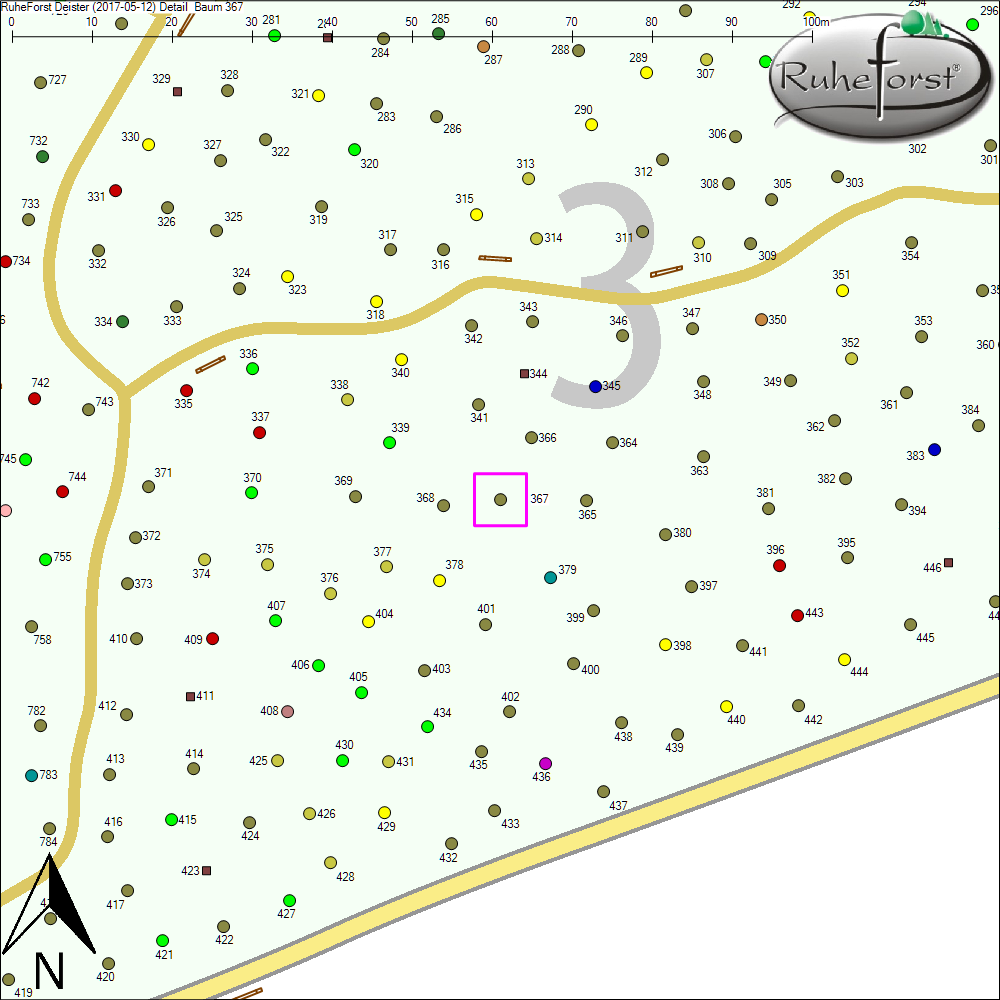 Detailkarte zu Baum 367