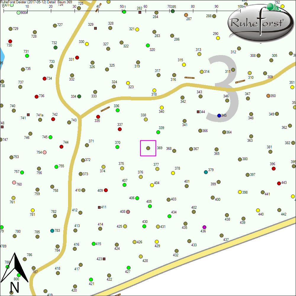 Detailkarte zu Baum 369