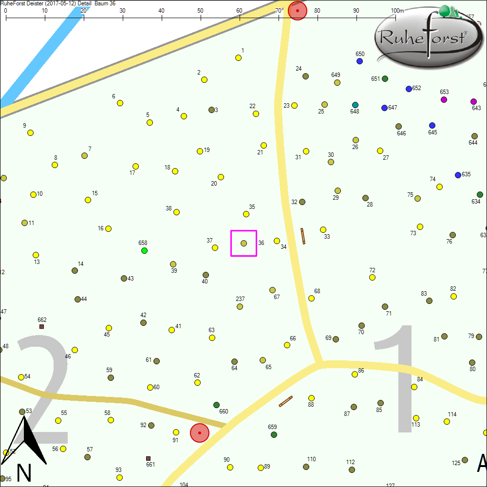 Detailkarte zu Baum 36