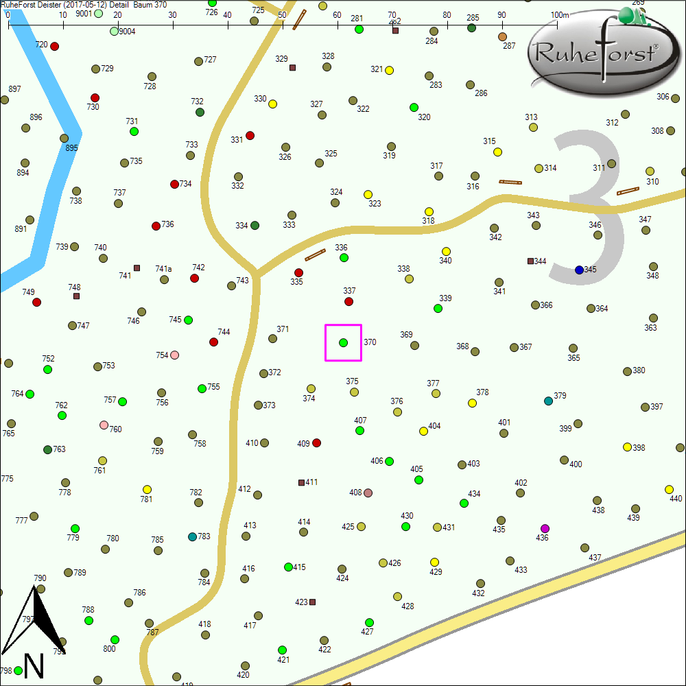 Detailkarte zu Baum 370