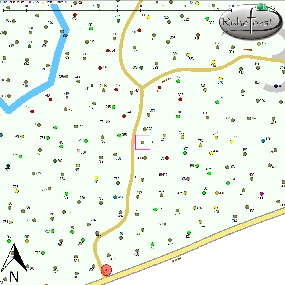 Detailkarte zu Baum 373