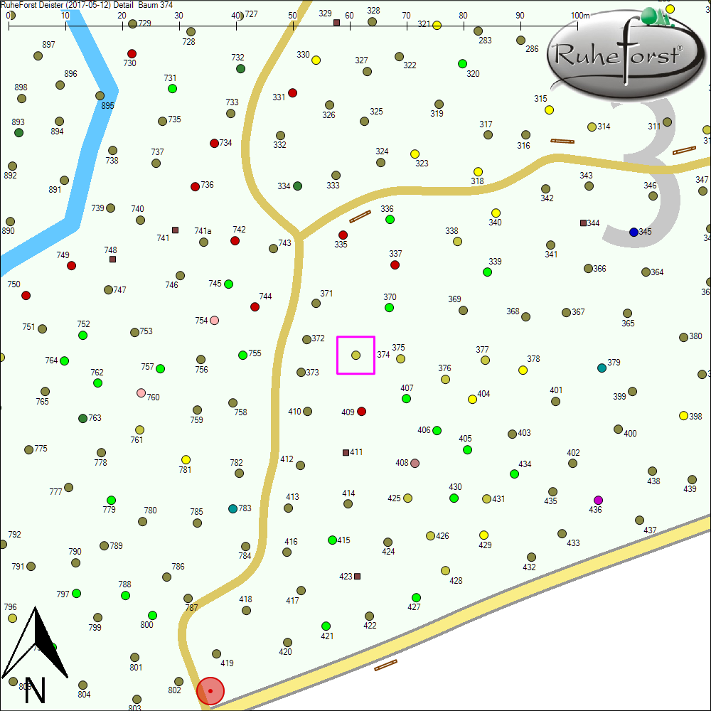 Detailkarte zu Baum 374