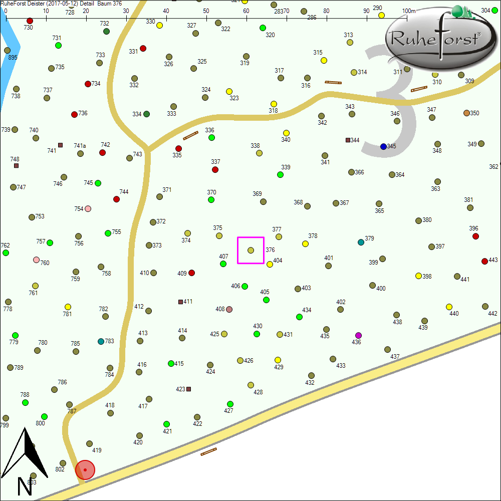 Detailkarte zu Baum 376
