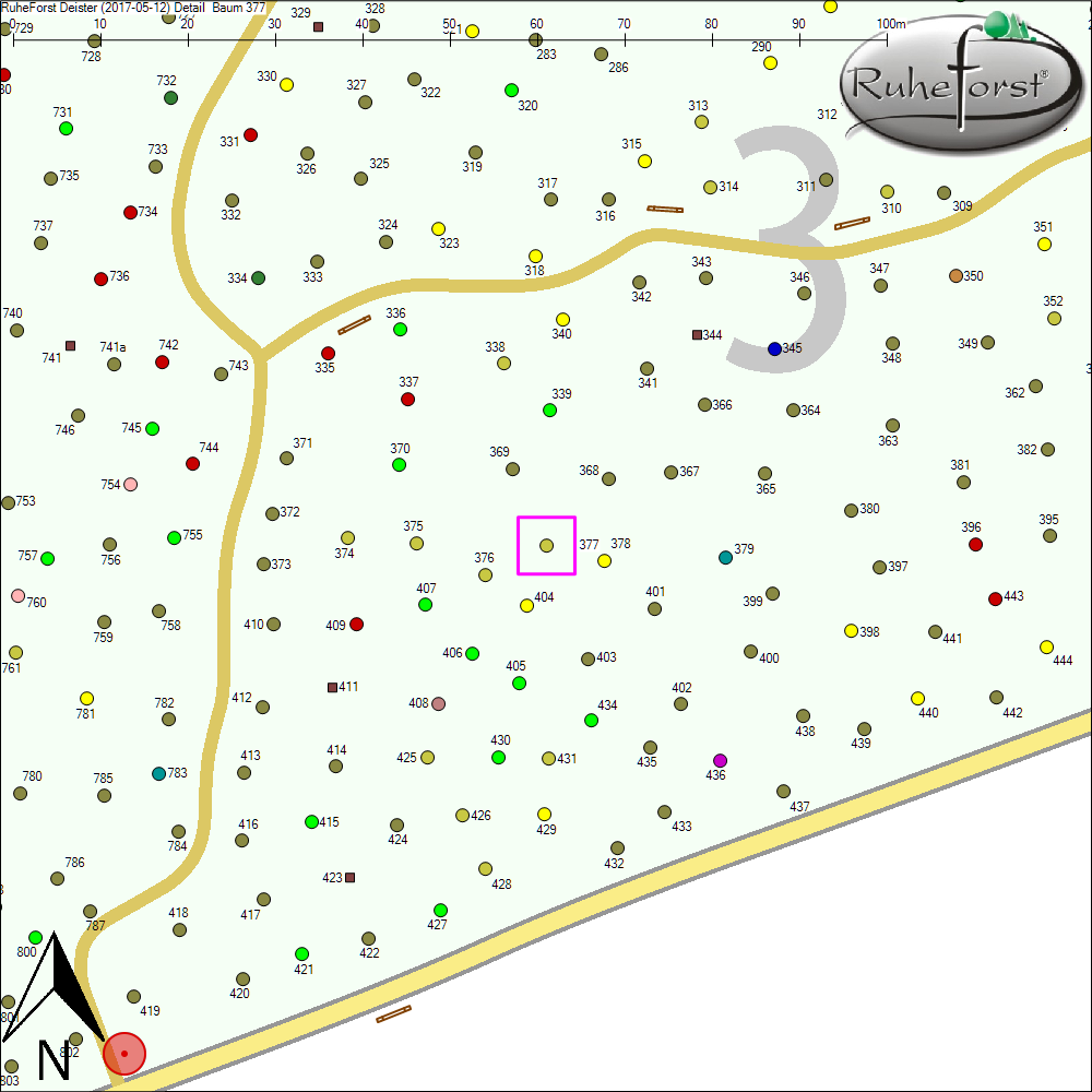 Detailkarte zu Baum 377