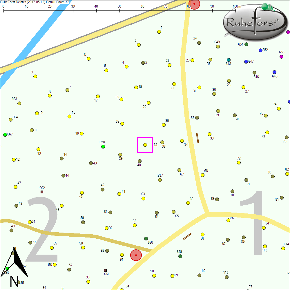 Detailkarte zu Baum 37