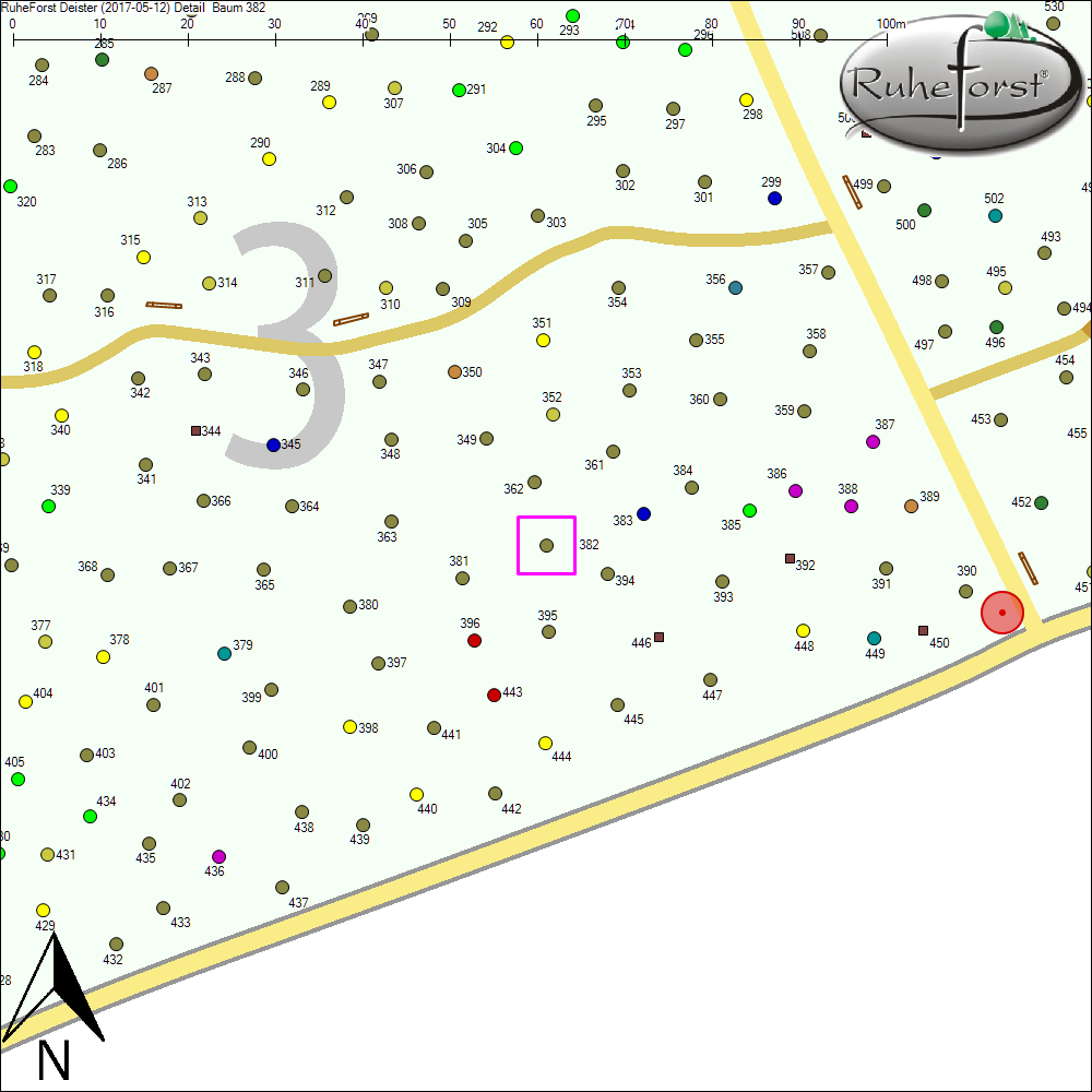 Detailkarte zu Baum 382