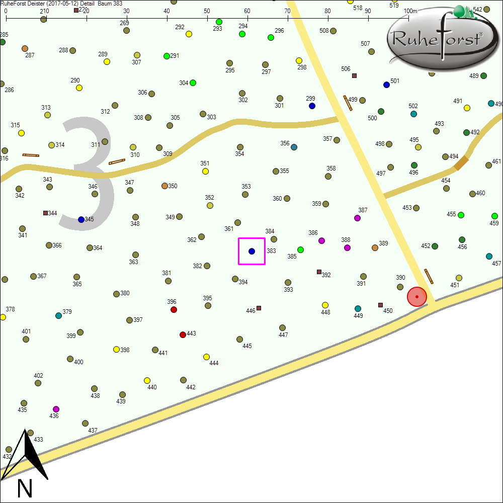 Detailkarte zu Baum 383