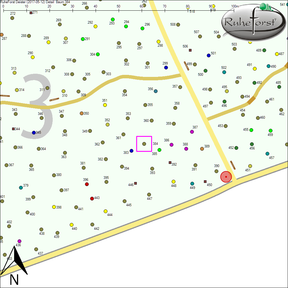 Detailkarte zu Baum 384
