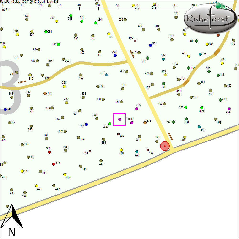 Detailkarte zu Baum 386