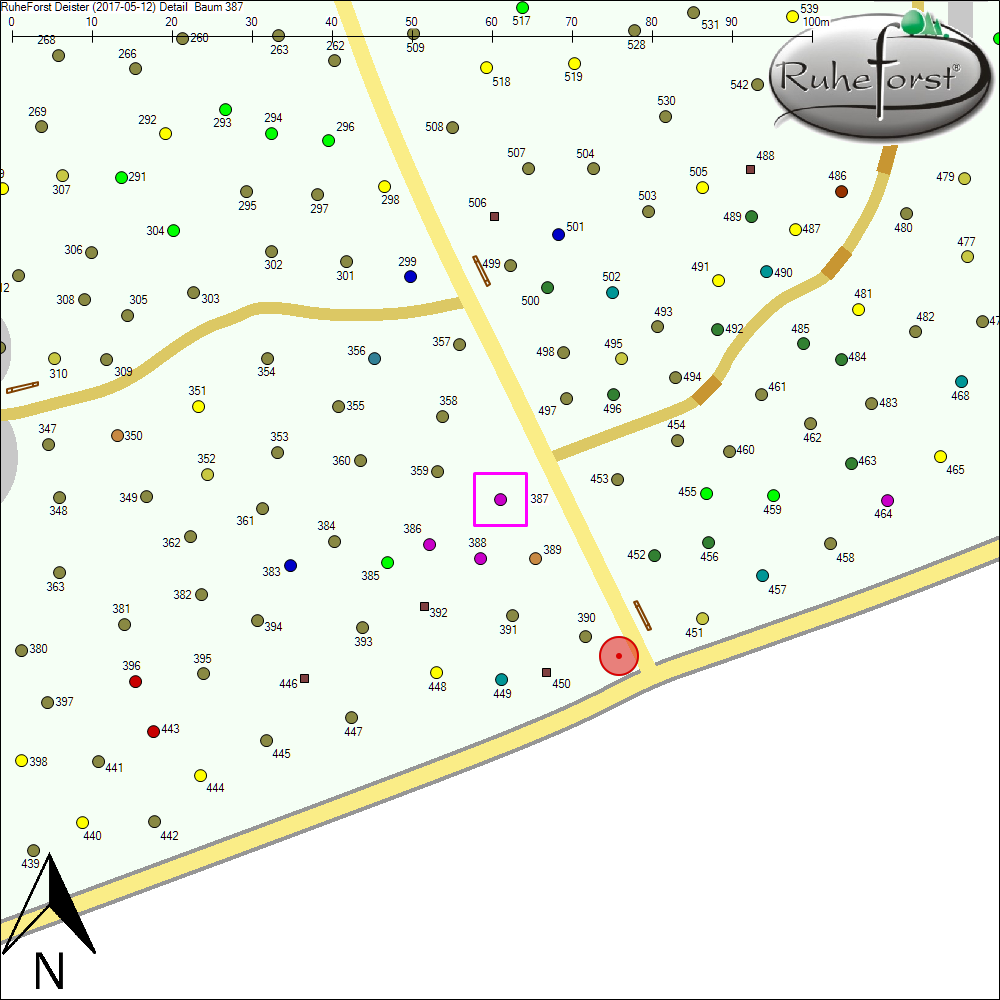 Detailkarte zu Baum 387