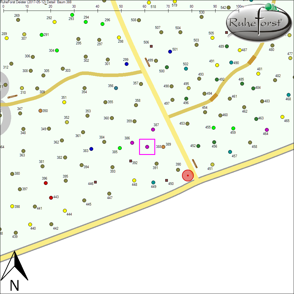 Detailkarte zu Baum 388