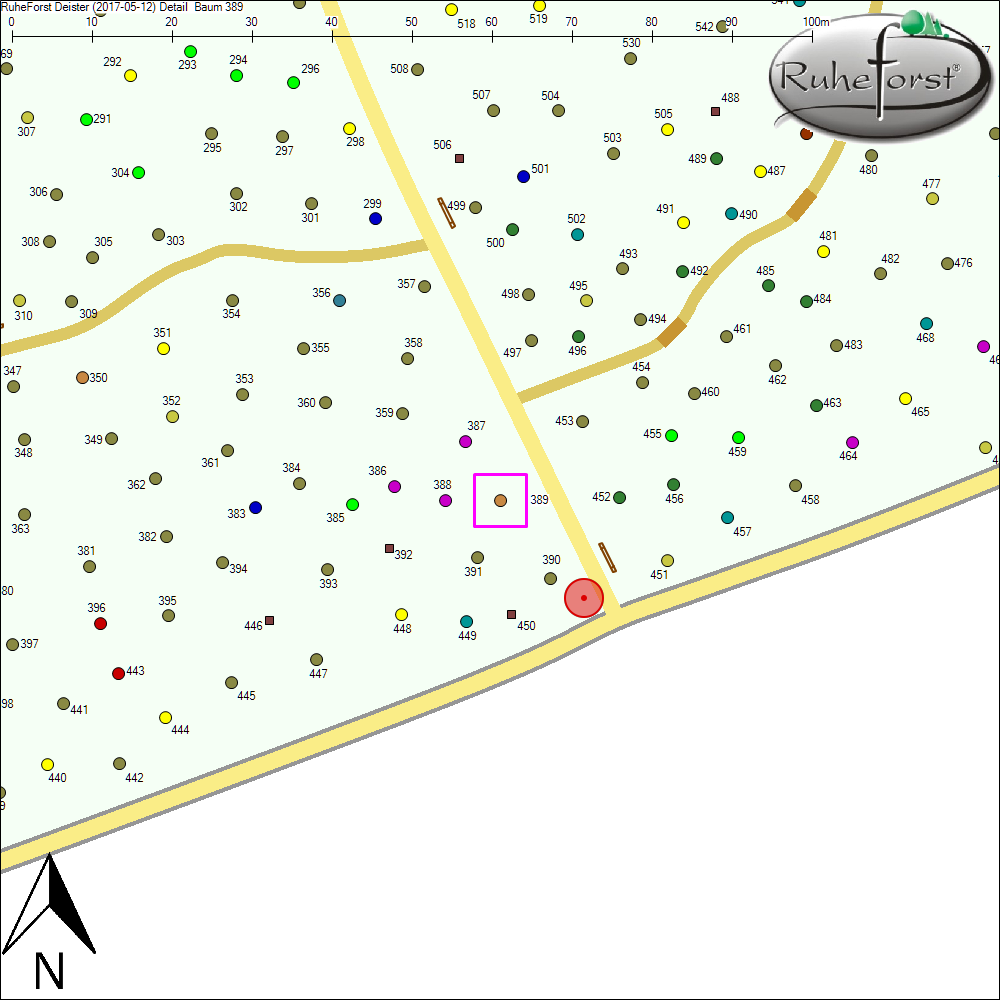 Detailkarte zu Baum 389