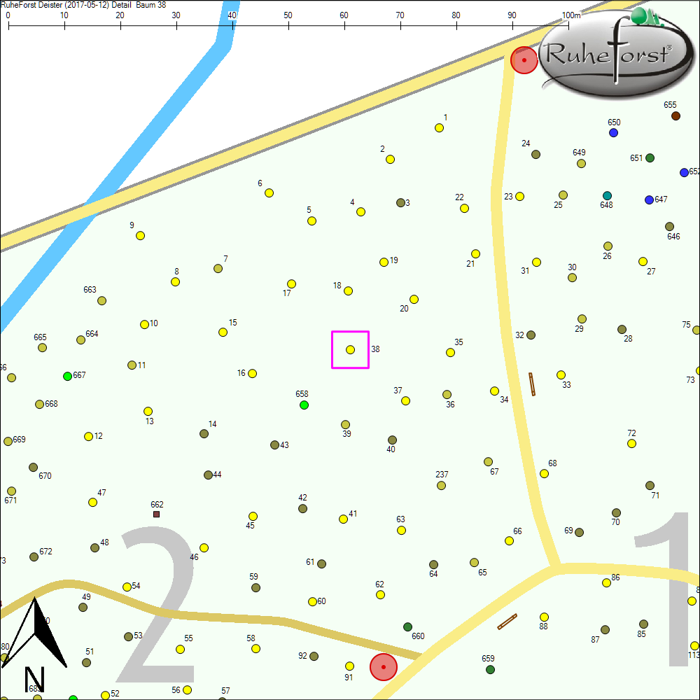 Detailkarte zu Baum 38