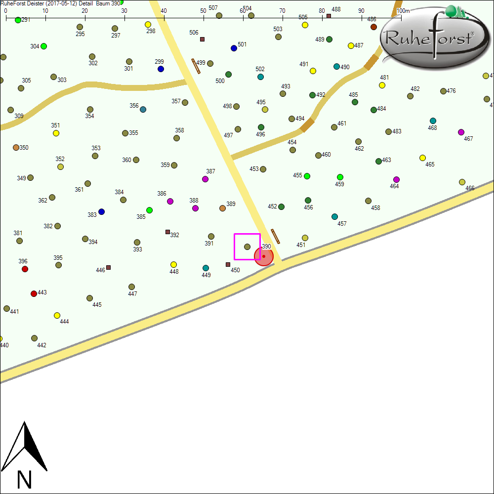 Detailkarte zu Baum 390