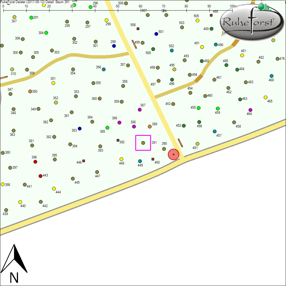 Detailkarte zu Baum 391