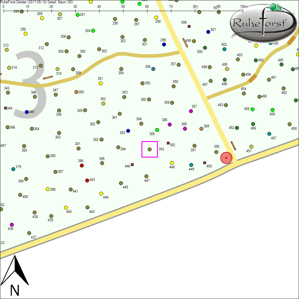 Detailkarte zu Baum 393