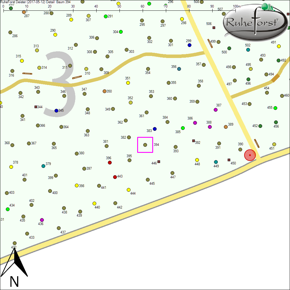 Detailkarte zu Baum 394