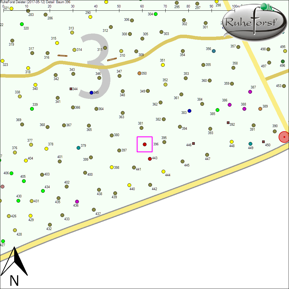 Detailkarte zu Baum 396