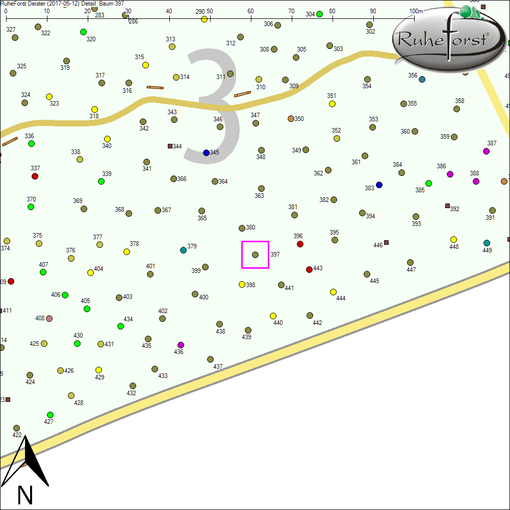 Detailkarte zu Baum 397