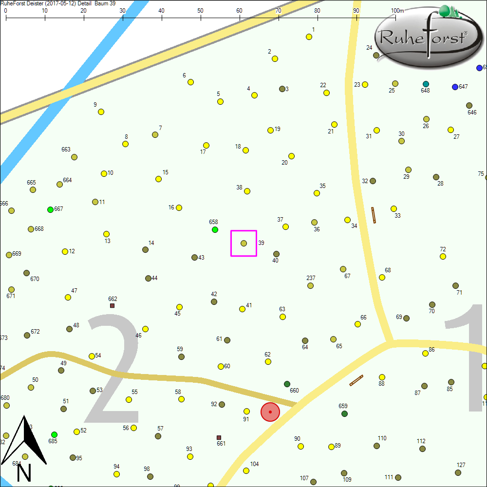 Detailkarte zu Baum 39