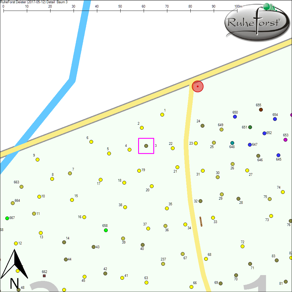 Detailkarte zu Baum 3