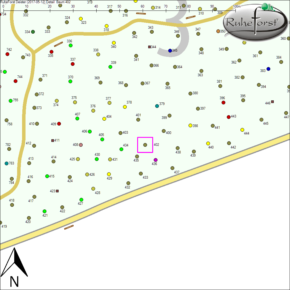 Detailkarte zu Baum 402