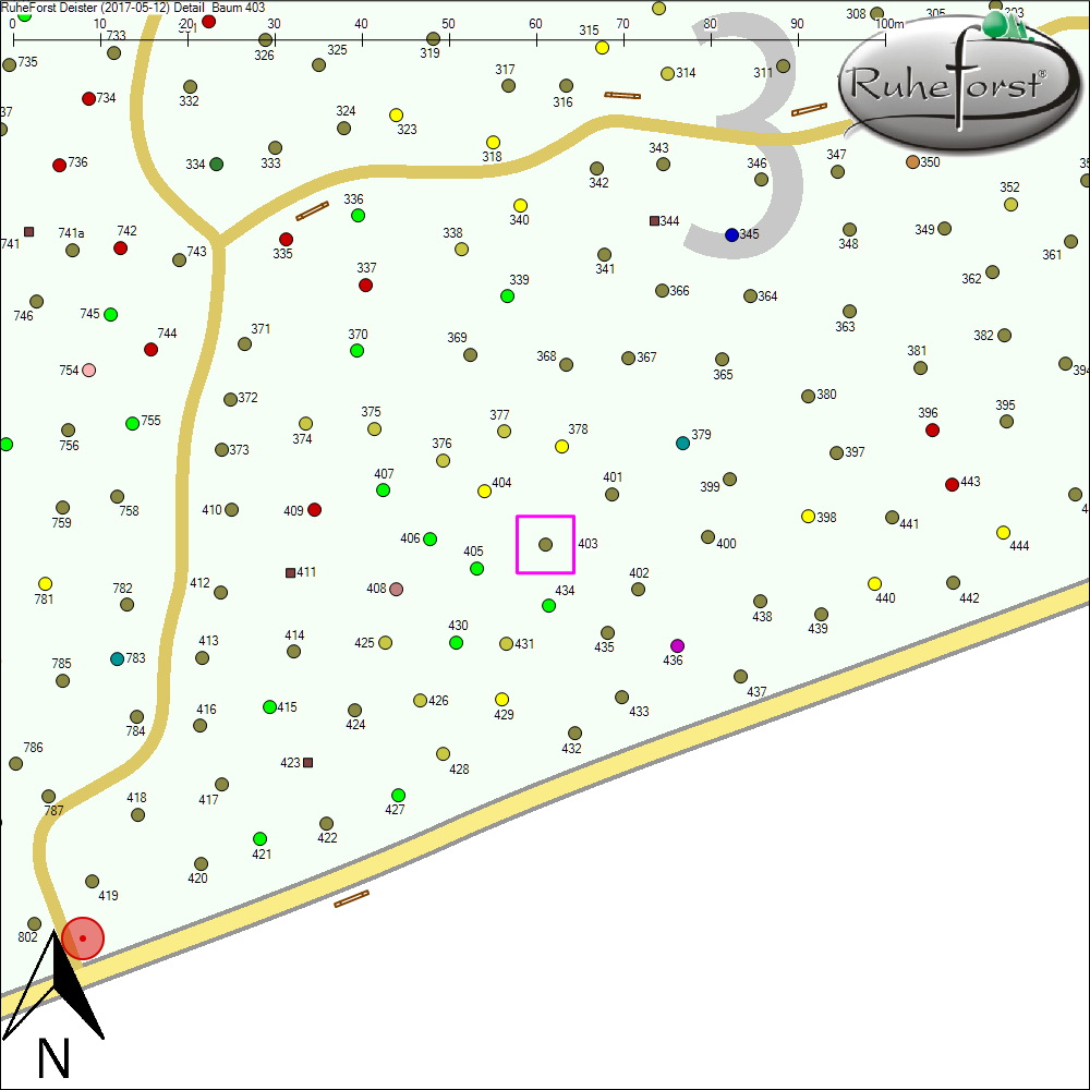 Detailkarte zu Baum 403