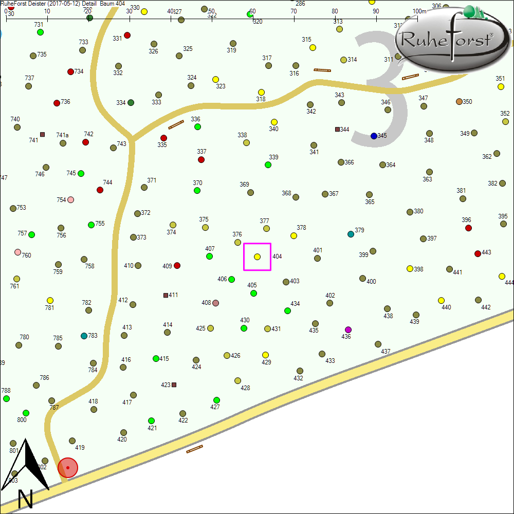 Detailkarte zu Baum 404