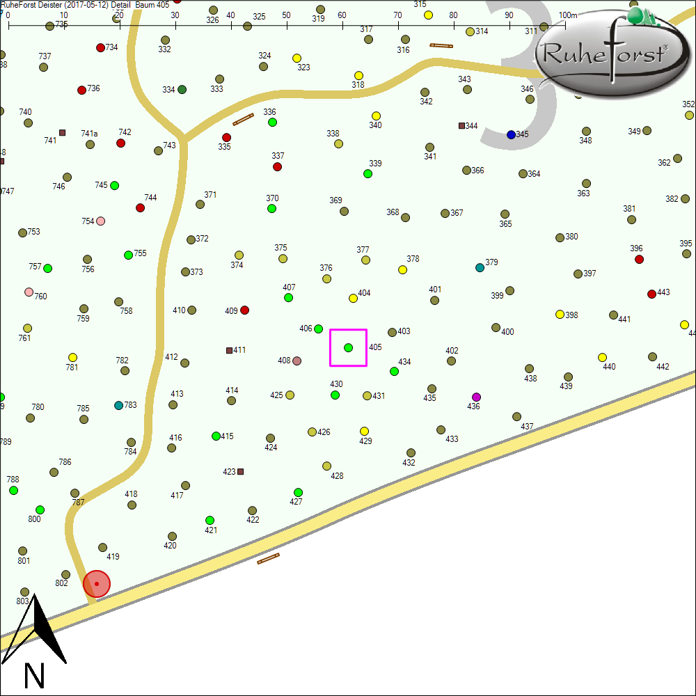 Detailkarte zu Baum 405