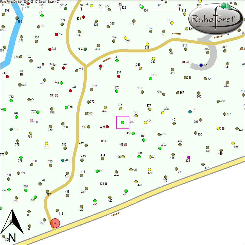 Detailkarte zu Baum 407