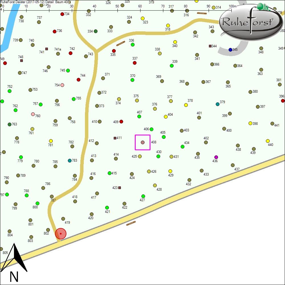 Detailkarte zu Baum 408