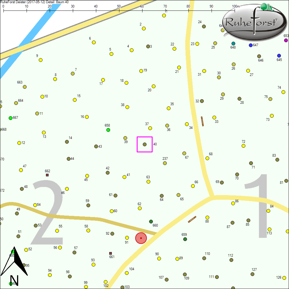 Detailkarte zu Baum 40