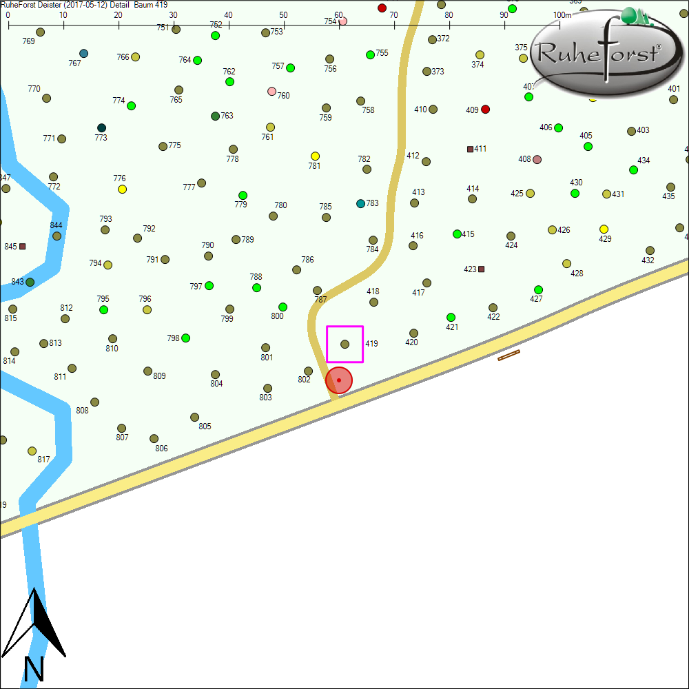Detailkarte zu Baum 419