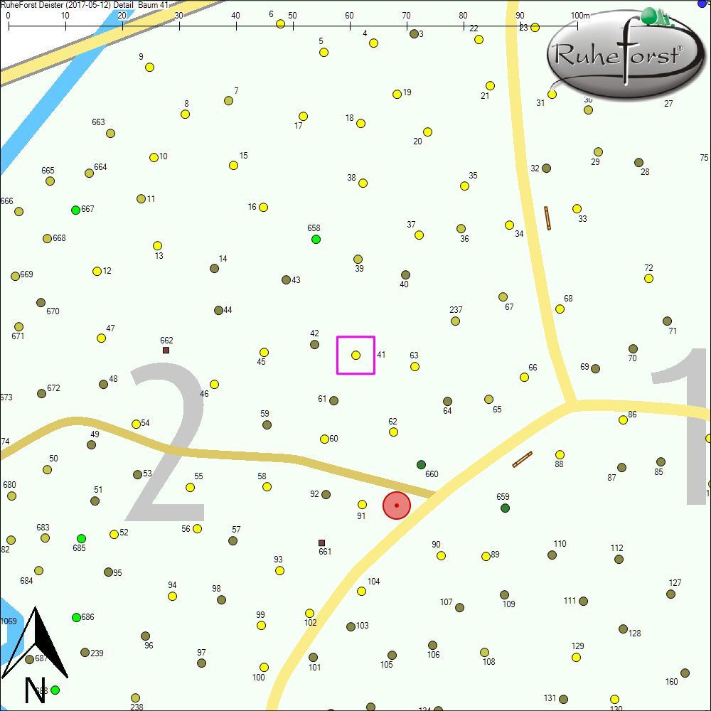 Detailkarte zu Baum 41
