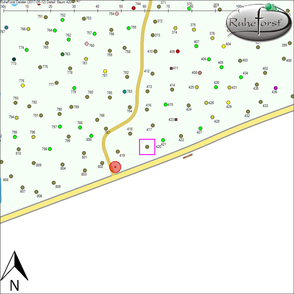 Detailkarte zu Baum 420