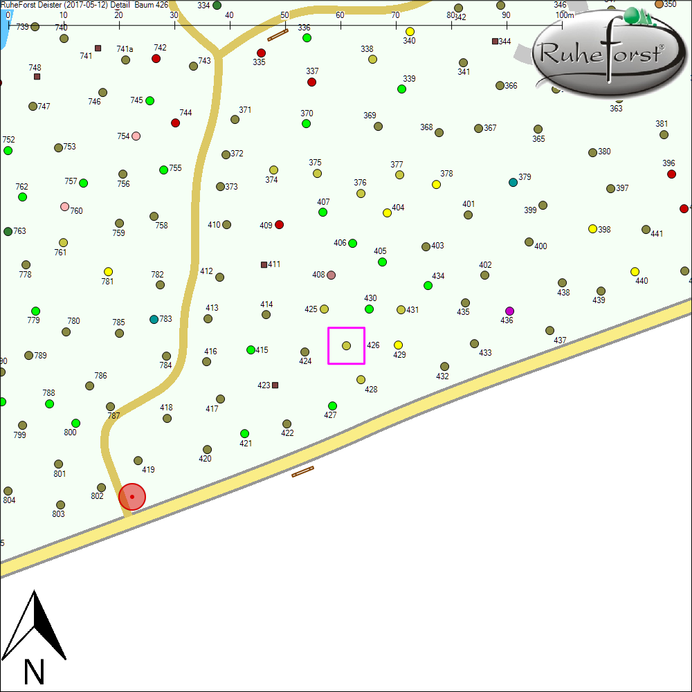 Detailkarte zu Baum 426