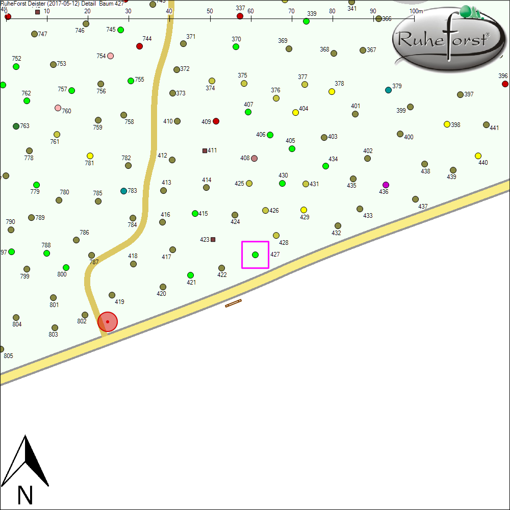 Detailkarte zu Baum 427