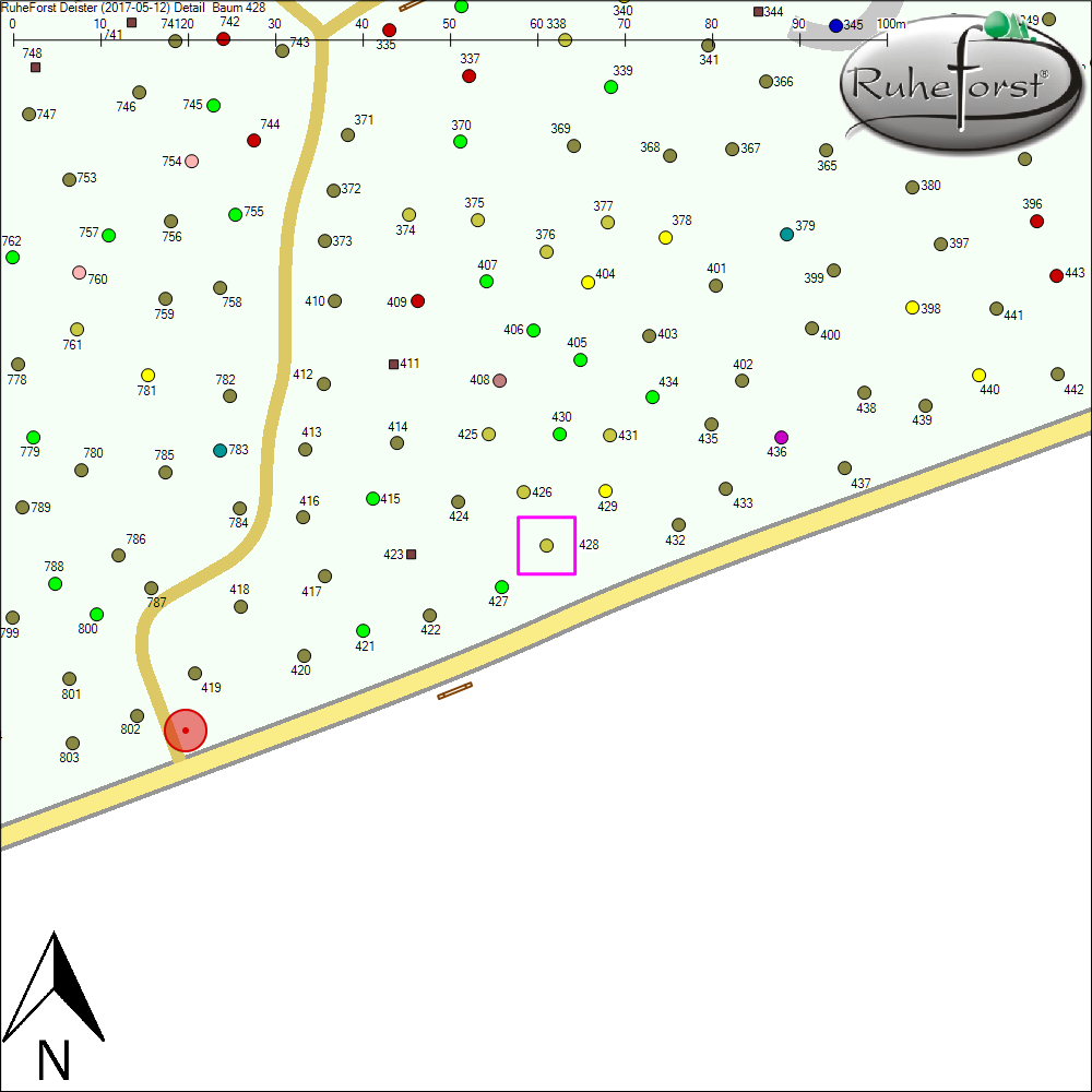 Detailkarte zu Baum 428