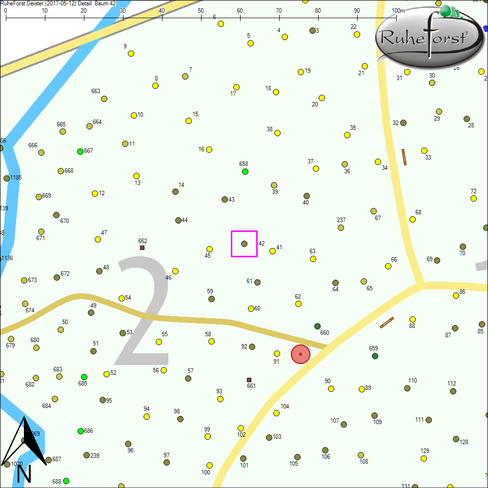Detailkarte zu Baum 42