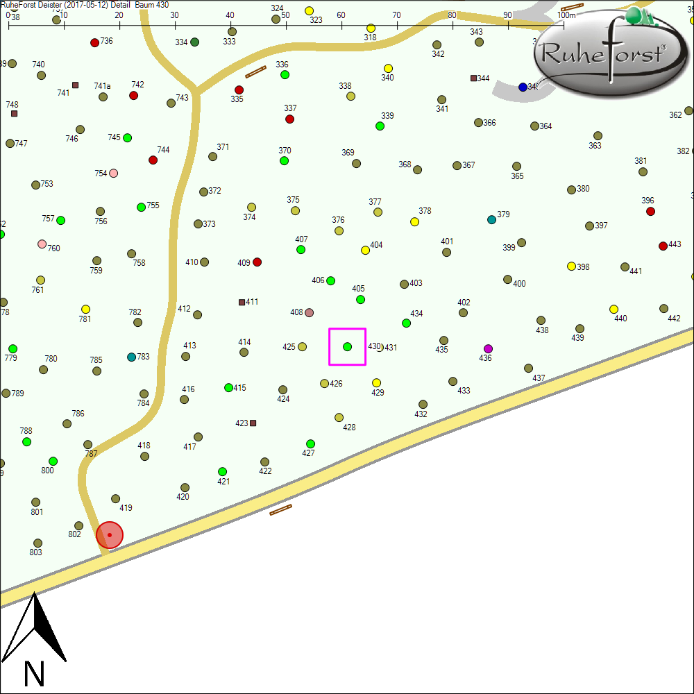 Detailkarte zu Baum 430
