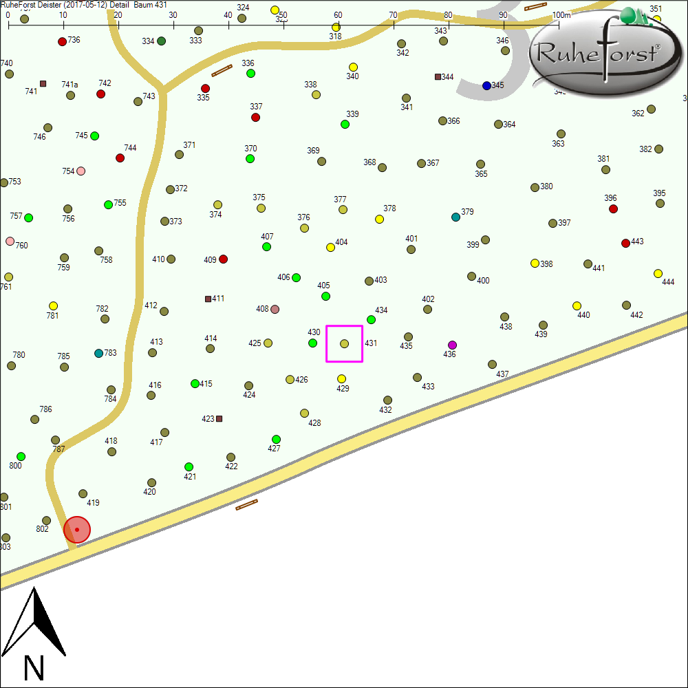 Detailkarte zu Baum 431