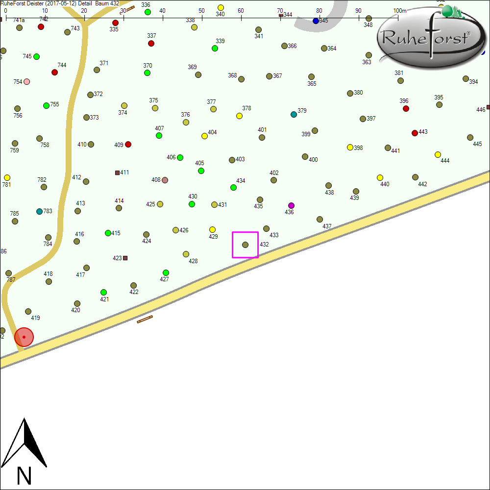 Detailkarte zu Baum 432