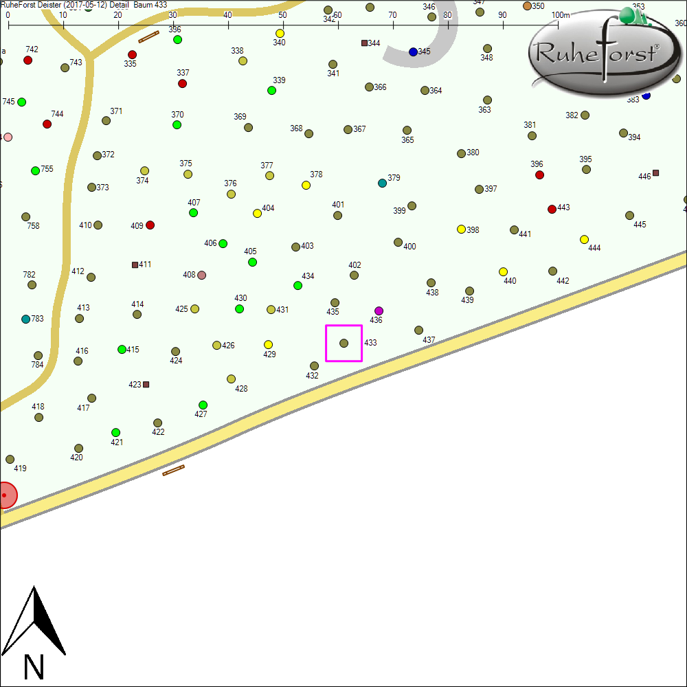 Detailkarte zu Baum 433