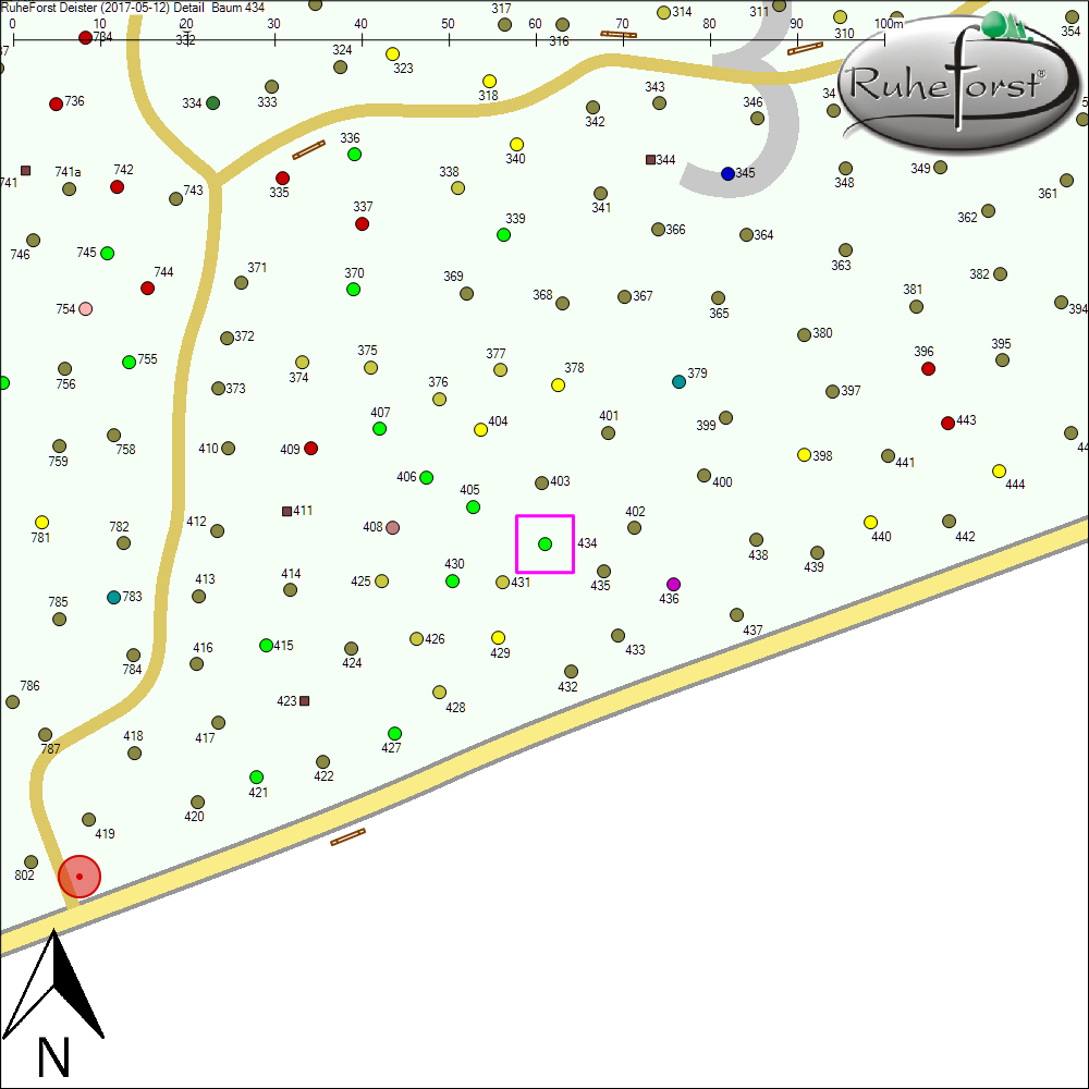 Detailkarte zu Baum 434